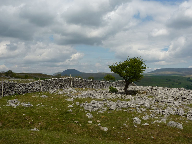 Pen-y-ghent